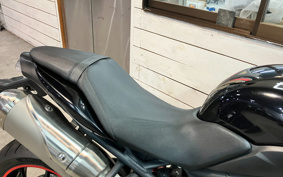TRIUMPH SPEED TRIPLE 2013 TPN105