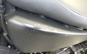 HARLEY XL883N 2015