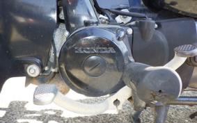 HONDA LITTLE CUB E AA01