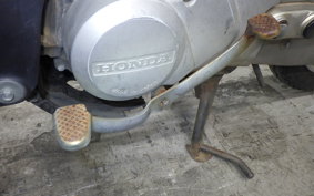 HONDA LITTLE CUB 2020 C50