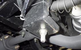 OTHER +UNREGISTERED MODEL by BDS TRIKE250 2014