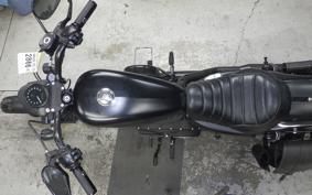 HARLEY XL883N 2019