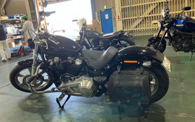 HARLEY FXST1340-1450 2022 BVJ