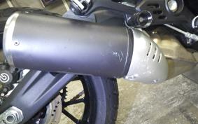DUCATI SCRAMBLER ICON 2024