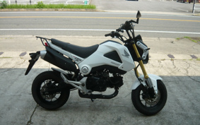 HONDA GROM JC61