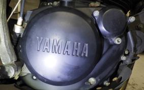 YAMAHA TW225 2006 DG09J