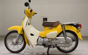 HONDA C50 SUPER CUB 2008 AA09
