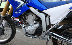 YAMAHA WR250R DG15J