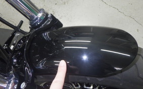 HARLEY XL1200X 2019