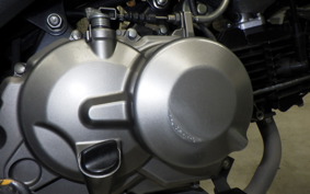 KAWASAKI Z125 PRO BR125H