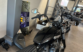 HARLEY FXBB 2020 YJJ