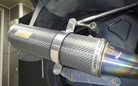 KAWASAKI EPSILON 250 Gen.2 2021 CJ43B