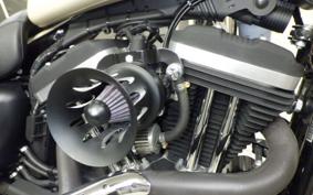HARLEY XL883N 2014
