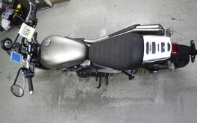 TRIUMPH STREET SCRAMBLER 2021