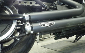 HARLEY XL883N 2015