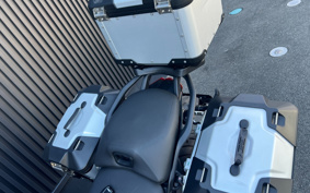 DUCATI MULTISTRADA V4S 2024 6A00