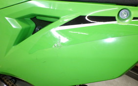 KAWASAKI KX250 2025 KX252C