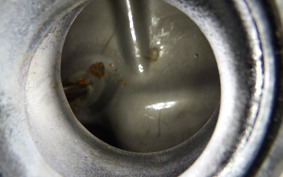 KAWASAKI BALIUS 250 Gen.2