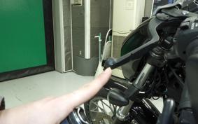 HARLEY RH975S 2024