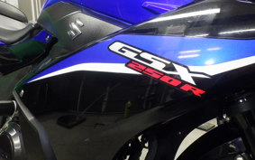 SUZUKI GSX250R 2015