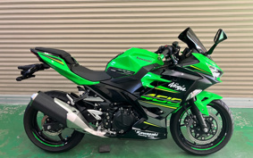 KAWASAKI NINJA 400 2019 EX400G