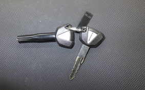 KAWASAKI Z250 Gen.2 2024 EX250P