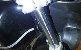 KAWASAKI SUPER SHERPA 2019 KL250G