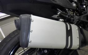 KTM 250 ADVENTURE