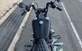 HARLEY HARLEY FXDB1580 2014 GX4