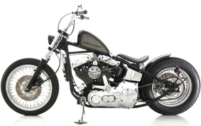 HARLEY Kit Bike 2016 611