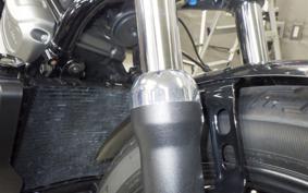HARLEY RH975 2024