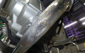 HONDA CHALY 50 2021 CF50