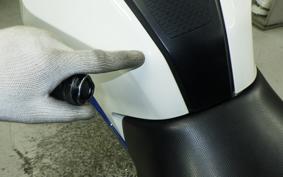 BMW G310R 2021
