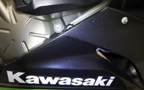 KAWASAKI NINJA ZX-6R A 2016
