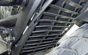 INDIAN Scout bobber 2023