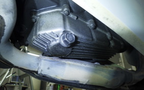 KAWASAKI NINJA 250 EX250L