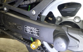KAWASAKI ZX-4RR 2023 ZX400P