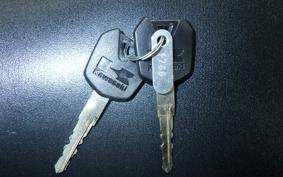 KAWASAKI NINJA 250 SL