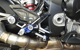 BMW S1000RR M DDC 2024