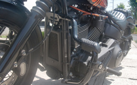 HARLEY FXBBS 2021 YYK
