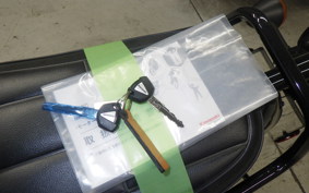 KAWASAKI W230 2020 BJ230A