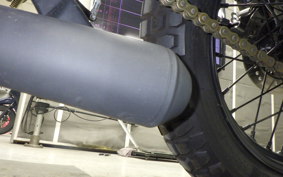 OTHER +UNREGISTERED MODEL by BDS250