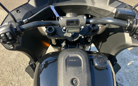 HARLEY  HARLEY FXLRST 2025 YXZ