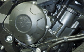 MV AGUSTA F3 800 RR 2022