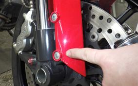 DUCATI MONSTER 1100 EVO 2012