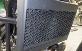 HONDA REBEL 250 2021 MC49