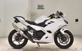 KAWASAKI NINJA 250 2025 EX250P