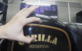 HONDA GORILLA 2021 Z50J