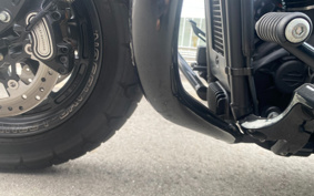 HARLEY FXFBS 2018 YLK