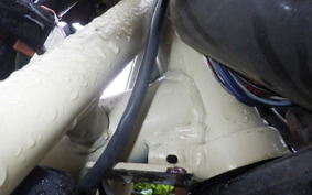 HONDA PS250 2008 MF09